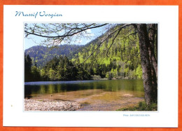 88 Massif Vosgien Lac De Retournemer Foret Paysage Carte Vierge TBE - Autres & Non Classés