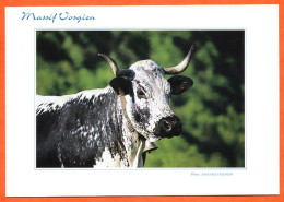 88 68 Massif Vosgien Vache Vosgienne Auberge Chaume De Firstmiss Carte Vierge TBE - Vaches