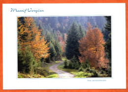 88 Vosges Massif Vosgien Chemin D'automne à Xonrupt Longemer Foret Paysage Carte Vierge TBE - Xonrupt Longemer