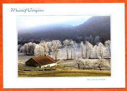 88 Vosges Massif Vosgien Givre Sur Les Arbres Ferme Montagne Paysage Carte Vierge TBE - Autres & Non Classés