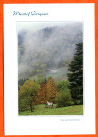 88 Vosges Massif Vosgien Menaurupt Ferme Montagne Carte Vierge TBE - Autres & Non Classés