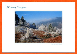 88 Vosges Massif Vosgien Paysage De Givre Carte Vierge TBE - Autres & Non Classés