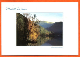 88 Vosges Massif Vosgien Reflet Sur Le Lac  Paysage Carte Vierge TBE - Autres & Non Classés