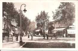 CAVAILLON (84) Le Boulevard Gambetta  CPSM  PF - Cavaillon