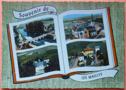 CARTE SOUVENIR DE LES MAILLYS - 21 - 2 SCANS -17 - Autres & Non Classés