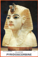 Egypte N° 17 Trésor Toutankhamon 19 X 28,5 Carte Photo Pub Pyridoscorbine Labo Dausse Pharmacie - Publicité