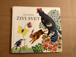 Slovenščina Knjiga Otroška ŽIVI SVET (Anton Polenec) - Lingue Slave