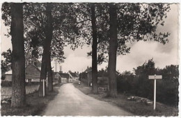 TRIE CHATEAU  Entrée Du Pays  Prise De L'Aunette - Sonstige & Ohne Zuordnung