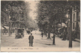 31 LUCHON   Les Allées D'Etigny - Luchon