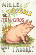 * MILLE CARESSES DE TON GROS COCHON QUI T'ADORE * COCHON * PIG * EDIT. G.P. * 1909 - Humour