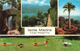 ITALIE - Isola Madre - Lago Madre - Oiseaux - Colorisé - Carte Postale Ancienne - Andere & Zonder Classificatie