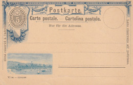 Suisse Entier Postal Illustré 1894 - Postwaardestukken