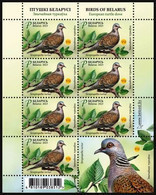 2023 0203 Belarus Birds - European Turtle Dove Fauna MNH - Belarus