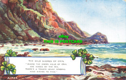 R616704 A. 1725. Wild Shores Of Erin. Valentines. 1953 - World