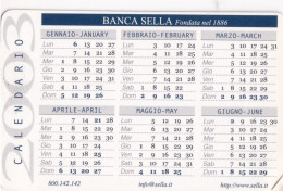 Calendarietto - Banca Sella - Anno 2003 - Kleinformat : 2001-...