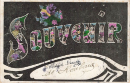FANTAISIES - Souvenir - Colorisé - Carte Postale Ancienne - Altri & Non Classificati