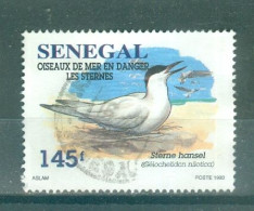 REPUBLIQUE DU SENEGAL - N°1154 Oblitéré - Faune. Oiseaux De Mer En Danger. Les Sternes. - Senegal (1960-...)