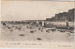 LUC SUR MER  LA PECHE AUX MOULES - Luc Sur Mer