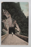 CPA - 38 - La Grande Chartreuse - Route Du Désert - Tunnel - Colorisée - Animée - Circulée En 1906 - Chartreuse