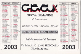 Calendarietto - Cheveux - Parrucchieri - Sedico - Belluno - Anno 2004 - Formato Piccolo : 2001-...