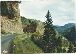 CPSM  Route De Morez Aux Rousses Le Turu - Morez