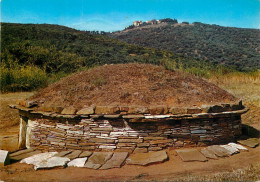 Italy Populonia Piombino Etruscan Tombs - Autres & Non Classés