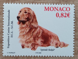 Monaco - YT N°2481 - Exposition Canine Internationale - 2005 - Neuf - Unused Stamps