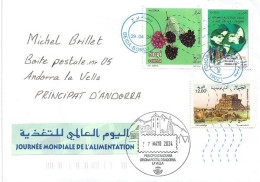 Letter 2024 From Algeria To Andorra (Principality) With Arrival Illustrated Andorran Postmark - Algerien (1962-...)
