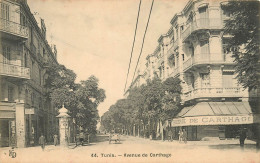 TUNISIE TUNIS AVENUE DE CARTHAGE - Tunisie