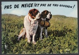 Animaux Humoristiques Chien Saint Bernard Pas De Neige Et Pas De Tire-bouchon - Humor