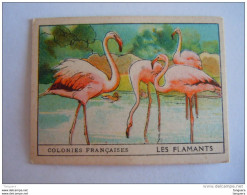 Colonies Françaises Animaux Les Flamants Oiseaux Format 7 X 5 Cm  Librairie D'éducation Nationale Paris - Other & Unclassified