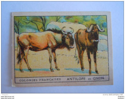 Colonies Françaises Animaux Antilope Et Gnon Format 7 X 5 Cm  Librairie D'éducation Nationale Paris - Autres & Non Classés