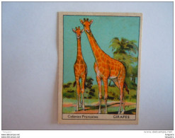 Colonies Françaises Animaux Girafes Format 7 X 5 Cm  Librairie D'éducation Nationale Paris - Other & Unclassified