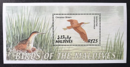 Maldives - 2002 - Birds - Yv Bf 501 - Sonstige & Ohne Zuordnung