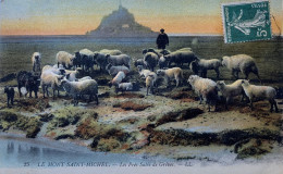 CPA (Manche). LE MONT SAINT MICHEL, Les Prés Salés De Grèves (n°25) - Le Mont Saint Michel