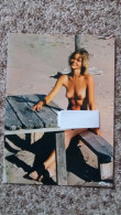 CPM  FEMME NUE NU SEINS NUS ATTABLEE SABLE MER ED CIM JOIES DU NATURISME  PHOTO CLAUDE NOYER - Photographie