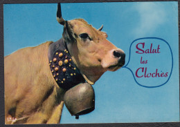 Animaux Humoristiques Vache Salut Les Cloches - Humour