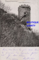 68 Hoch Rappoltstein Rappoltsweiler Chateau Donjon CPA + Timbre Reich Cachet 1902 - Ribeauvillé
