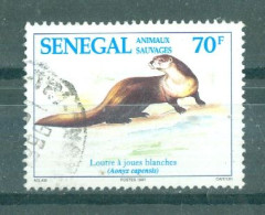 REPUBLIQUE DU SENEGAL - N°1078 Oblitéré - Faune. Animaux Sauvages. - Fossiles