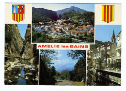 Carte Multivues - AMÉLIE-LES-BAINS - Amélie-les-Bains-Palalda