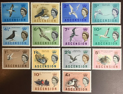 Ascension 1963 Birds Definitives Set MNH - Autres & Non Classés