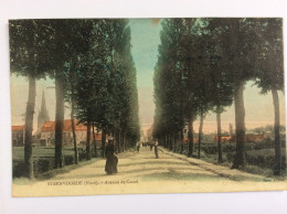 STEENWOORDE (59) :  Avenue De Cassel - Roos, éditeur -1908 - Steenvoorde