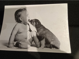 CP -  PHOTO Humour "  Bande Dessinée,  BEBE Et CHIEN  " Net  2 - Photographs