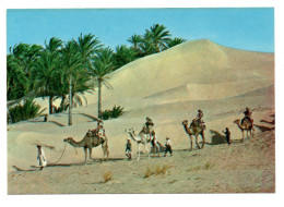 Caravane Du Sahara - Tunisie