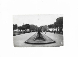 Algérie  :  Berkane  Boulevard De La Moulouya        Réf 10631 - Other & Unclassified