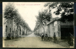 SAOUL (TARN) - AVENUE DE LABRUGUIERE - VOITURE A CHIEN ANIMEE. - Autres & Non Classés