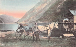 Stolkjaerre - Norge Gel.1913 - Norwegen