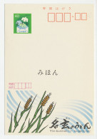 Specimen - Postal Stationery Japan 1984 Corn - Grain  - Agricoltura