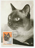 Maximum Card Rumania 1965 Cat - Autres & Non Classés