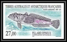 89956d/ Terres Australes Taaf PA N°145 Fauna Le Pillard épineux Non Dentelé Imperf ** MNH  - Imperforates, Proofs & Errors